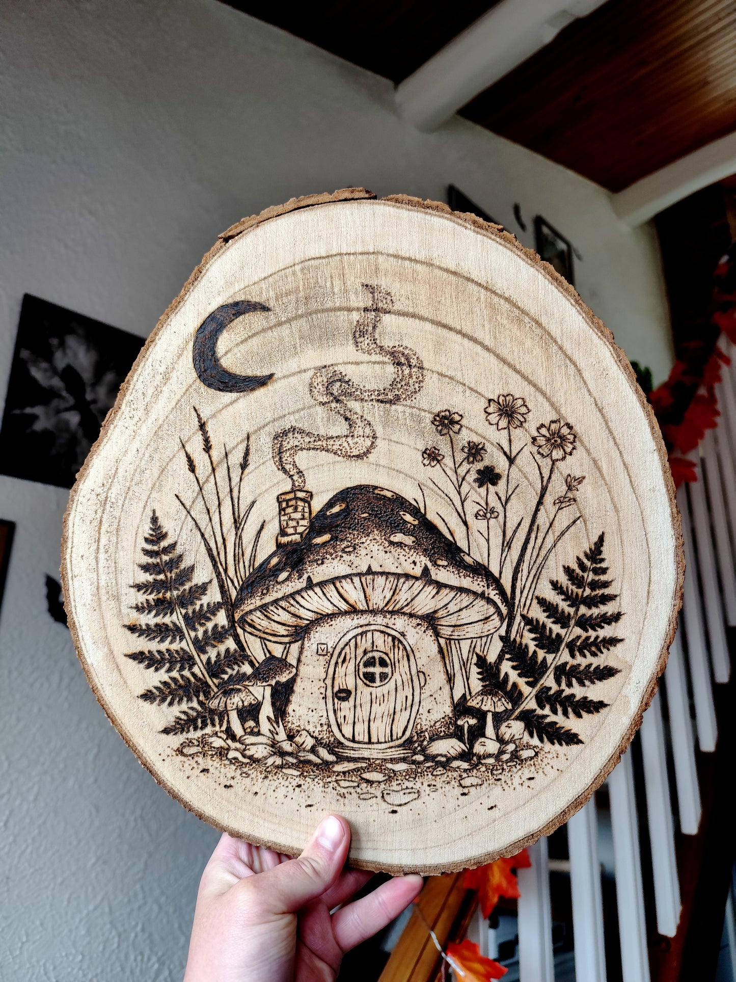 rondin de bois 🍄🌿🌙