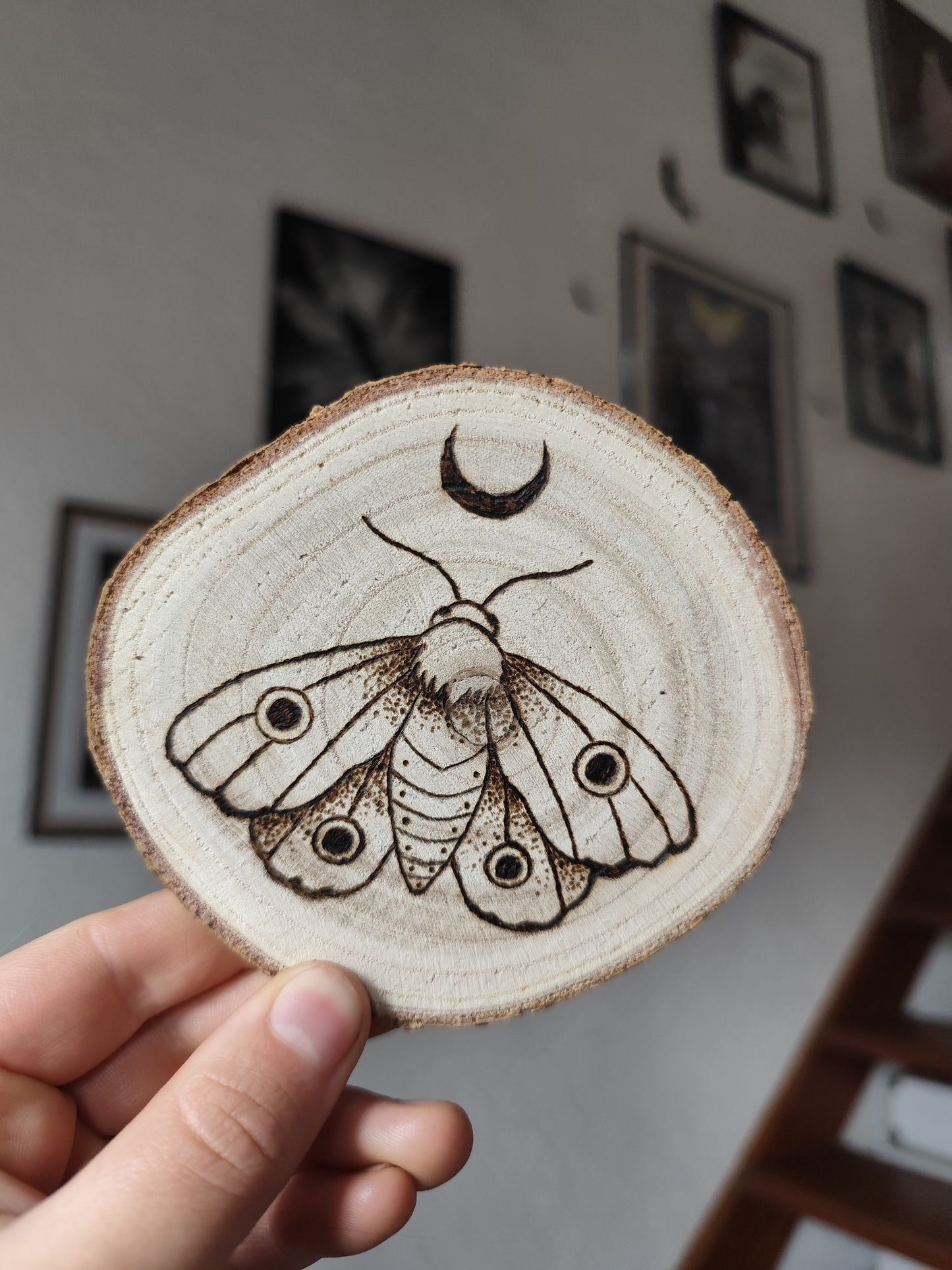 dessous de verre 🦋🌙